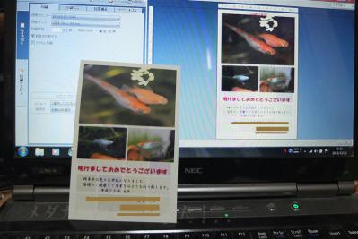 DSCF3534.jpg