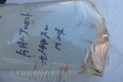 DSCF3595.jpg
