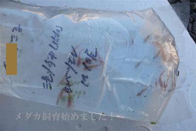 DSCF3598.jpg