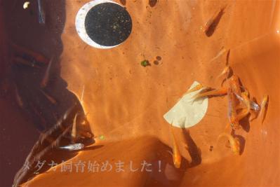 DSCF3644.jpg