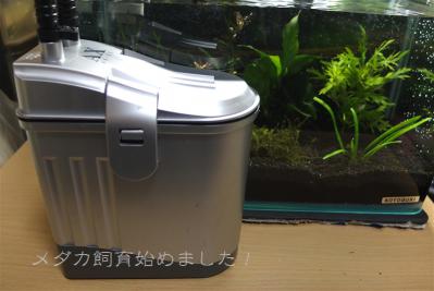 DSCF3818.jpg