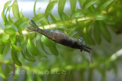 DSCF3821.jpg
