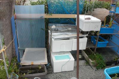 DSCN5030.jpg