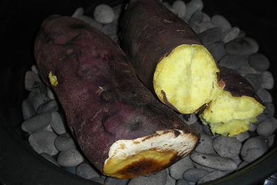 DSCN5038.jpg
