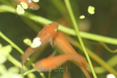 IMG_1249.jpg