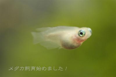 IMG_1767.jpg