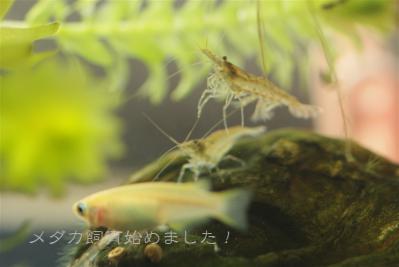 IMG_1807.jpg