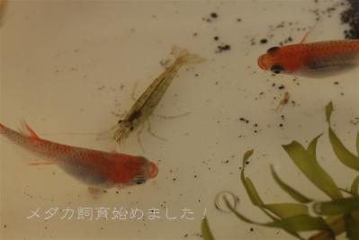 IMG_7984.jpg