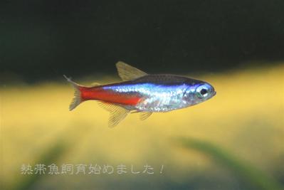 IMG_8061_20130114091652.jpg