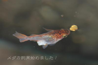 IMG_8295.jpg