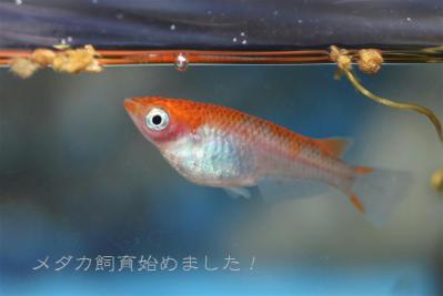 IMG_8326.jpg
