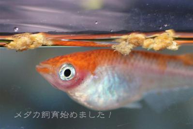 IMG_8327.jpg