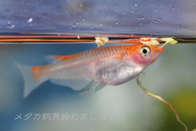 IMG_8366.jpg