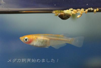 IMG_8371.jpg