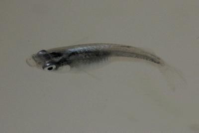 IMG_8842.jpg