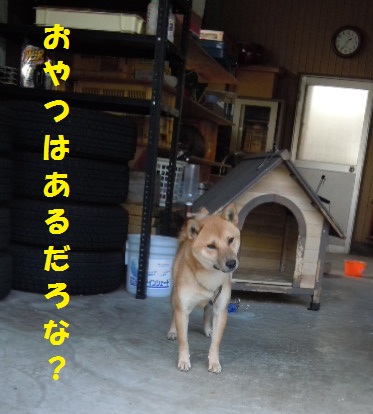 おやつある