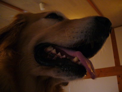 P1020872.jpg