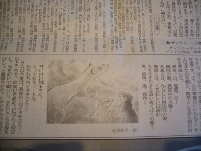 P1030005.jpg