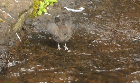 DSCg_8191 (2)15