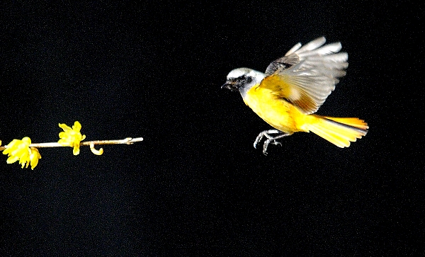 DSC12_1365_150.jpg