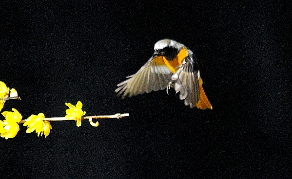 DSC12_1367_152.jpg