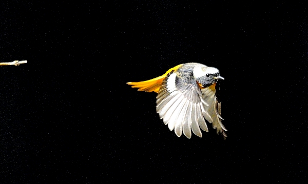 DSC12_1370_153.jpg