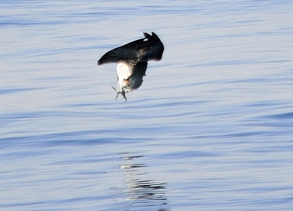 DSC5_0001_010.jpg