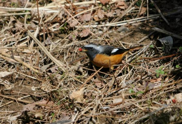 DSC_1078.jpg