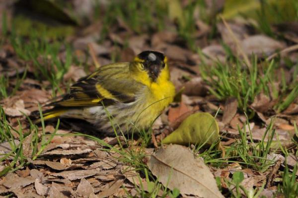 DSC_3492.jpg