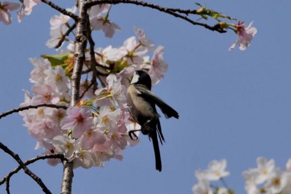 DSC_3902.jpg