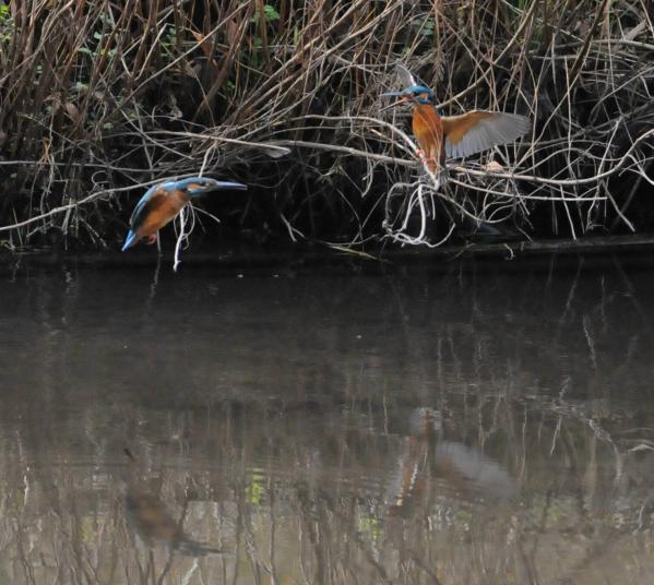 DSC_4586_sh04.jpg