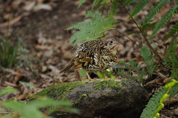 DSC_4884-02.jpg