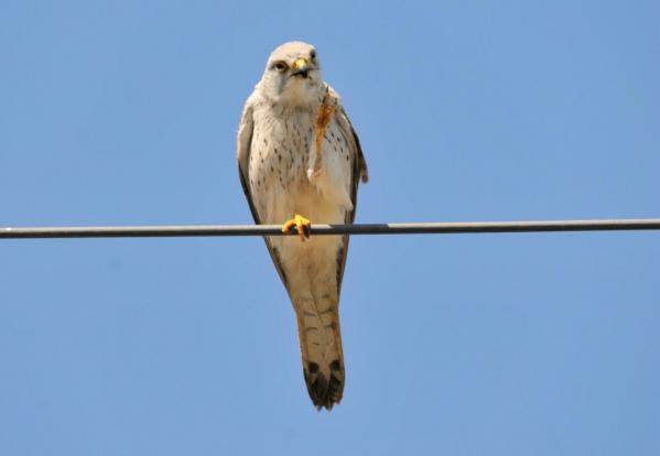 DSC_4983.jpg