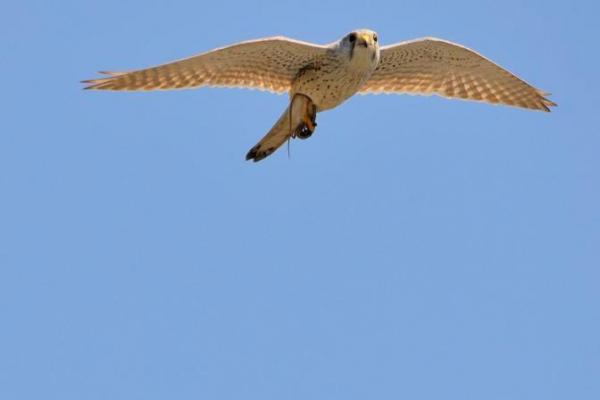 DSC_5526.jpg