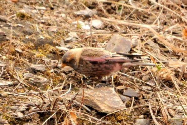 DSC_5688.jpg