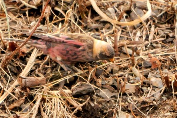 DSC_5724.jpg