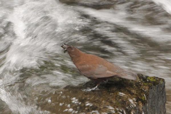 DSC_6165.jpg