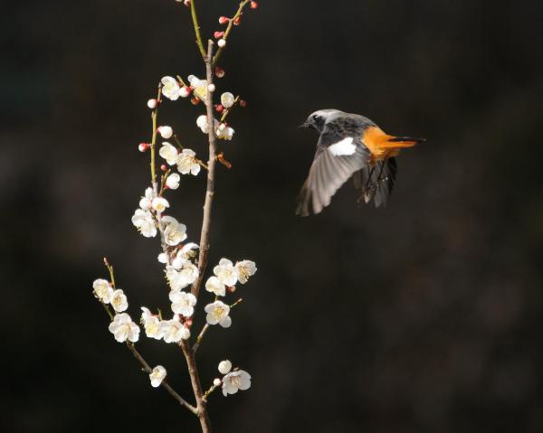 DSC_6251_sh01.jpg