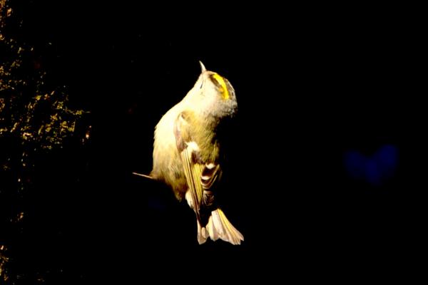 DSC_6344.jpg