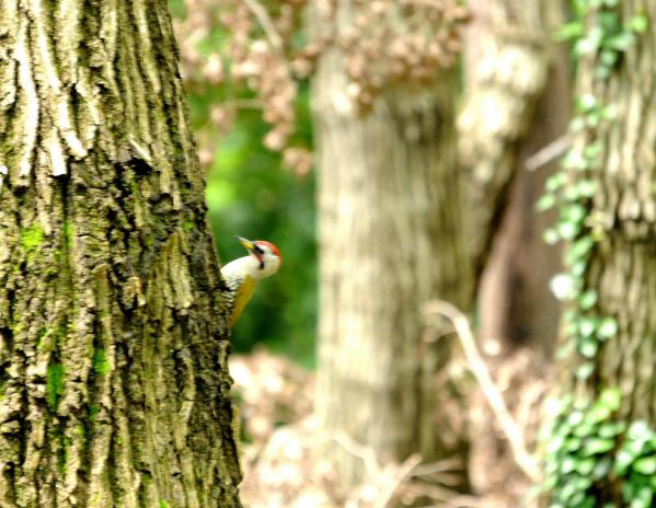 DSC_6552_sh01.jpg