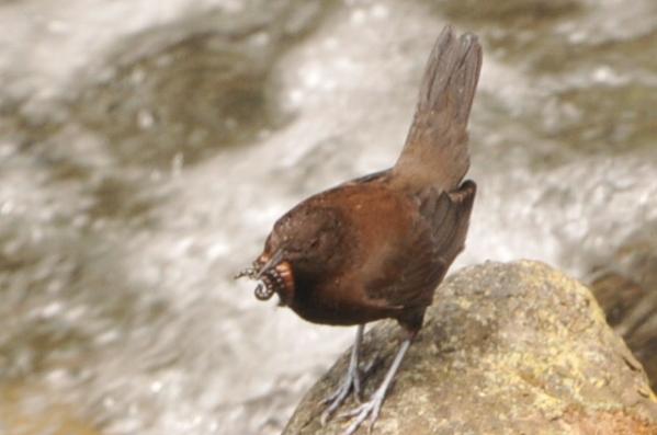 DSC_6758.jpg