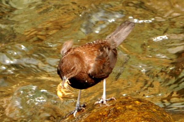 DSC_6791.jpg