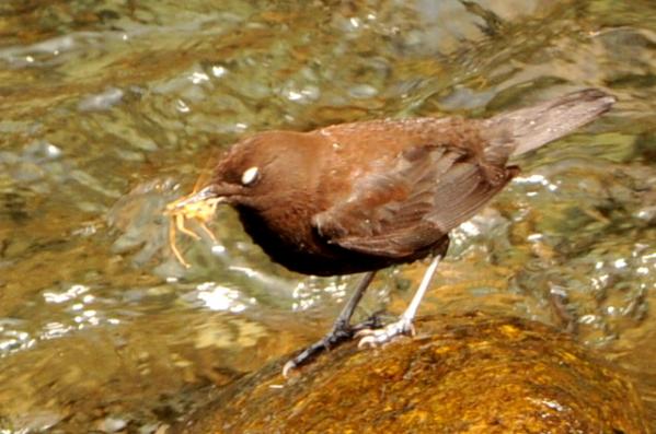 DSC_6792.jpg