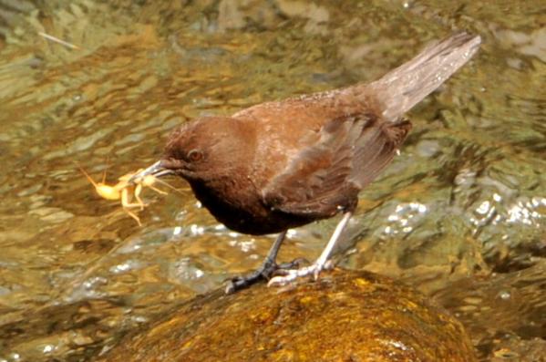 DSC_6794.jpg