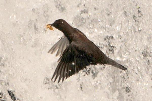 DSC_6800.jpg