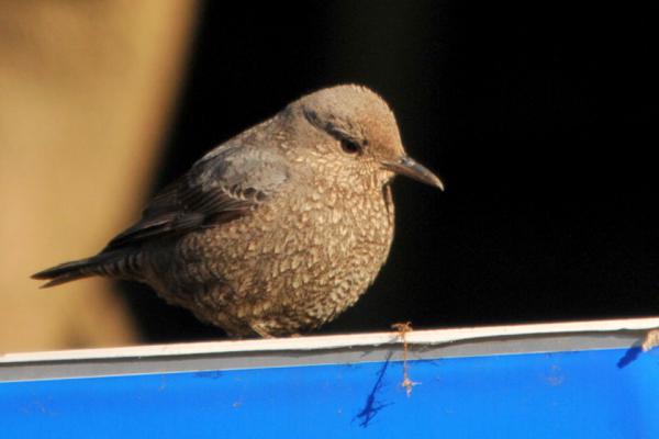 DSC_7870.jpg