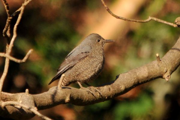 DSC_7873.jpg