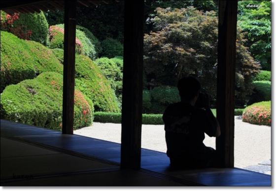 頼久寺20120607