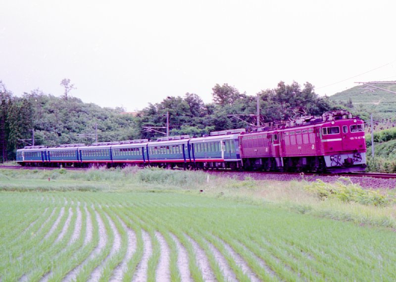 tmED75157江戸DBLJPG