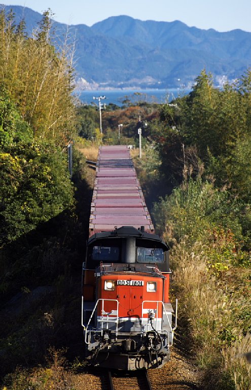 DD511801_20121125-2.jpg